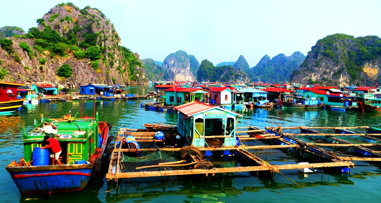 Discovering floating fishing villages