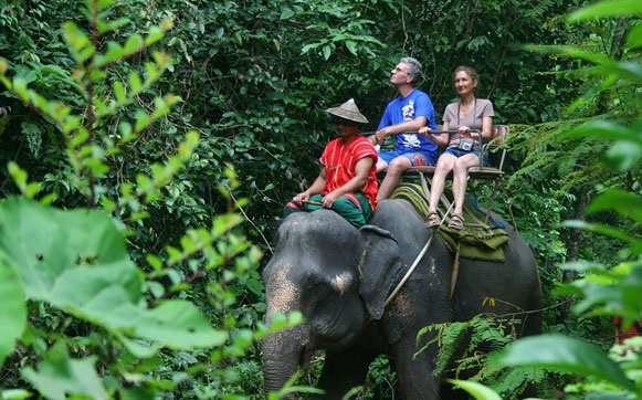 elephant-safari-park-bali-tour
