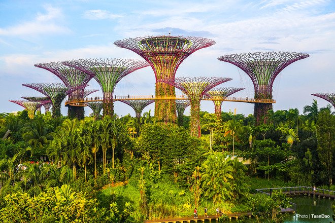 places-not-to-be-missed-in-singapore-4