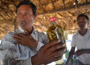 distill-wine-in-myanmar-palm-farm-17