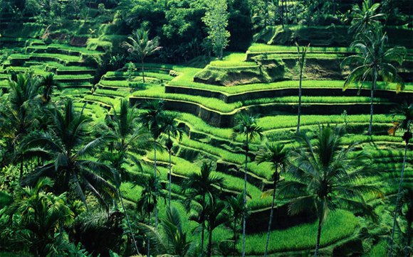 Where To Go If You Have Only 1 Day In Bali