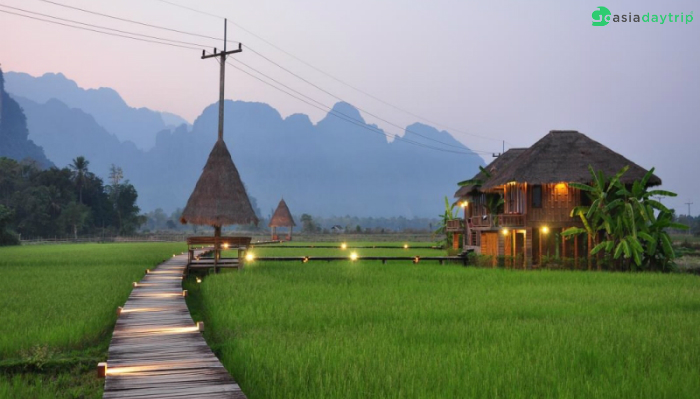 The villa is located in the middle of rice field, which creates the unique experience for guests