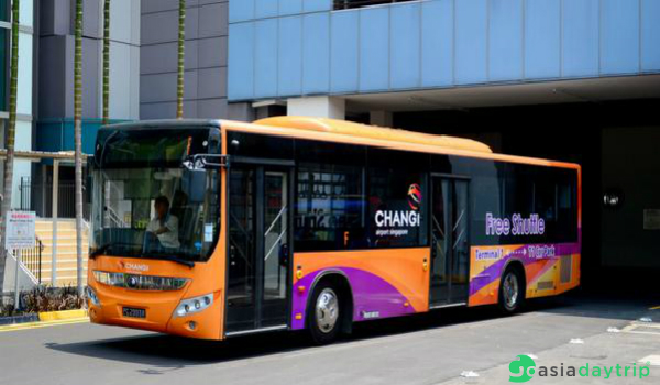 Changi Airport Terminal 4 Shuttle Bus • Free Bus Transfer Between Terminals  4, 3, 2, 1 & JEWEL • RailTravel Station