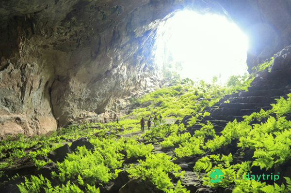 Pygmy Cave