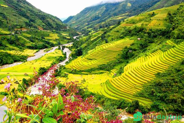 Sapa is the popular destination in the North of Vietnam