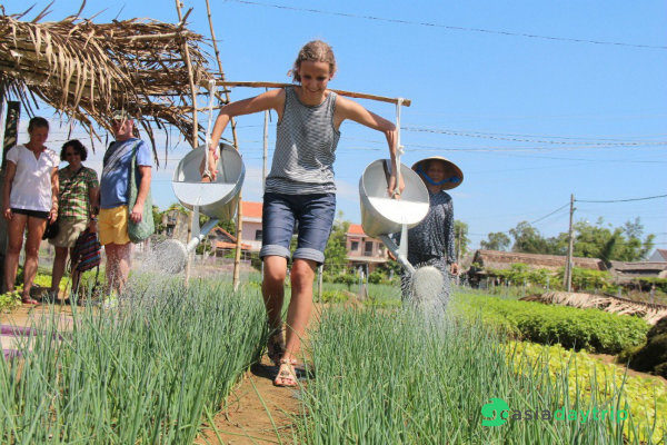 Tourists are excited to join farming works with locals in tra que vegetable village