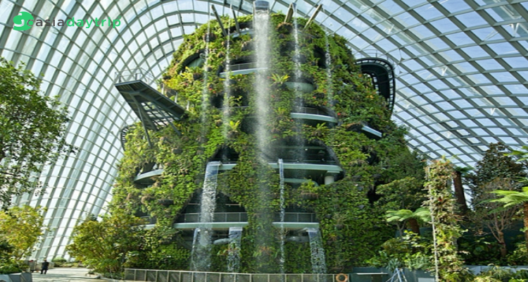 Cloud-Forest-at-Gardens-by-the-Bay
