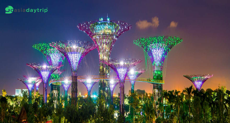 Gardens-by-the-Bay-Singapore-city-at-night