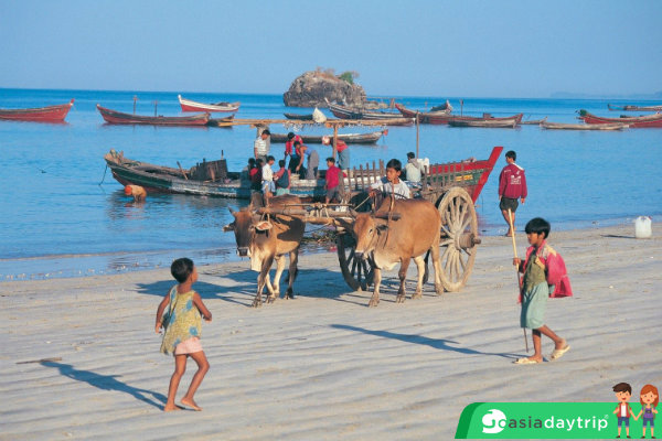 Daily life in Ngapali beach