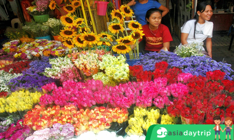 Flowers at Dangwa flower market