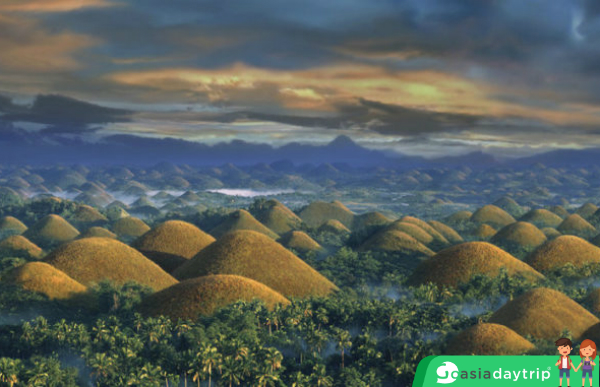 The spectacular view of chocolate hills