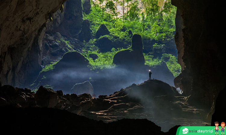Jungle in Son Doong Cave