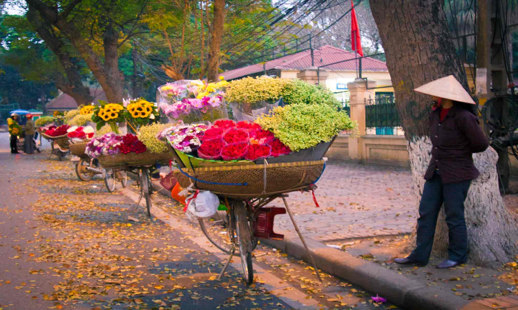 where to go in Vietnam in autumn