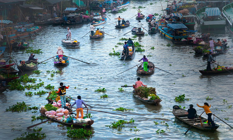 high-water season in Mekong River Delta